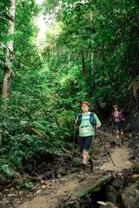 BIB: 
                            <button type="button" onclick="openModal(24679560)" class="btn btn-primary btn-sm float-right btn-popup" data-toggle="modal" data-target=".modal-high-quality">
                        <i class="fas fa-shopping-cart"></i> Add to Cart
                    </button>
                                            <button type="button" onclick="isThisMe(24679560, true)" class="btn btn-success btn-sm float-right btn-popup btn-isme hidden" data-toggle="tooltip" data-placement="bottom" title="นี่คือรูปของคุณใช่ไหม คลิกที่นี่เพื่อเอาเข้าอัลบั้ม">
                        <i class="fas fa-plus"></i> Add to album
                    </button>
                    <button type="button" onclick="isThisMe(24679560, false)" class="btn btn-warning btn-sm float-right btn-popup btn-isnotme hidden">
                        <i class="fas fa-ban"></i> Remove from album
                    </button>